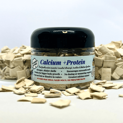 Kats Aquatics - Calcium Based Tablet Food for Invertebrates